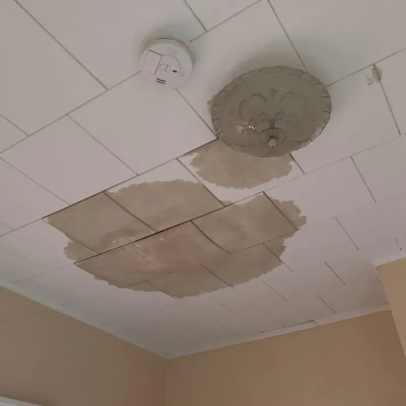 Ceiling Water Damage Repair in Harpswell Center, ME