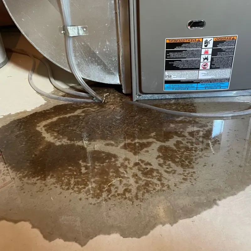 Pipe Burst and Leak Restoration in Harpswell Center, ME