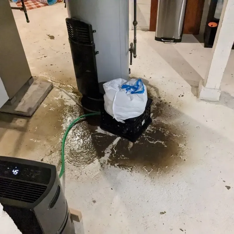 Sewage Backup Cleanup Service in Harpswell Center, ME